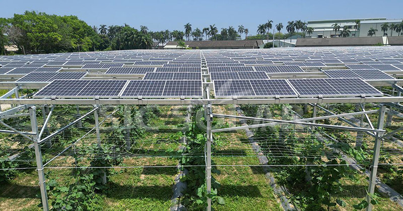 Agricultural Solar Panel Systems