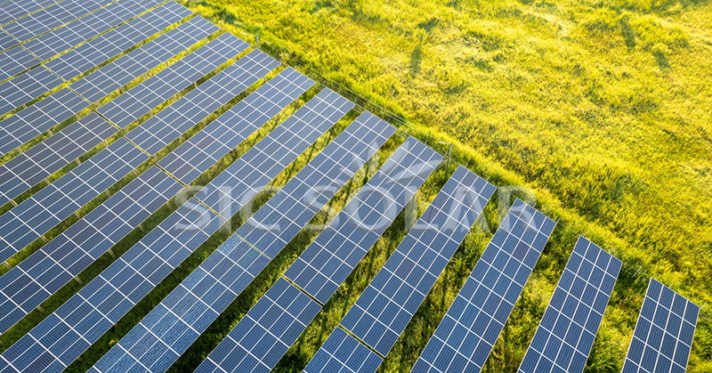 solar farm agriculture