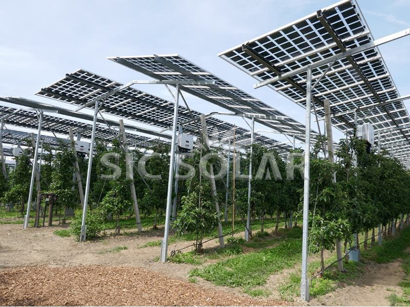 Agriculture Solar Farm Ground Mounting System
