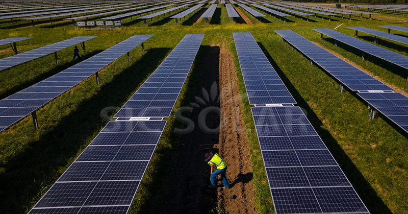 agrivoltaic farming agrivoltaic farming