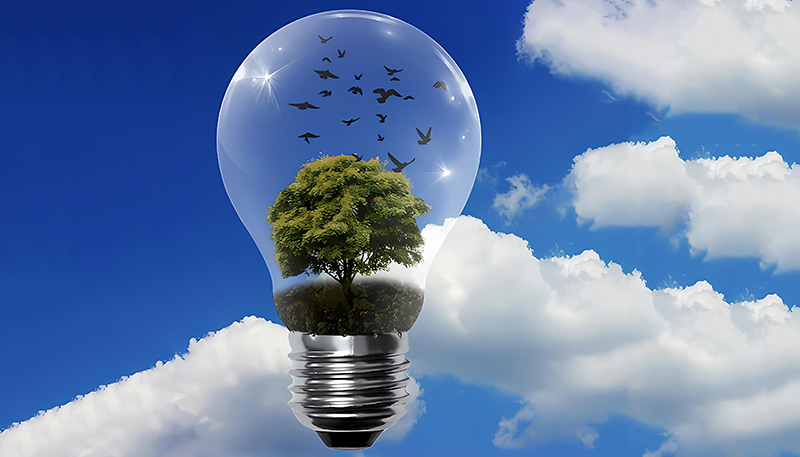 A Ucrânia registrou um aumento de 10% na geração de energia renovável.