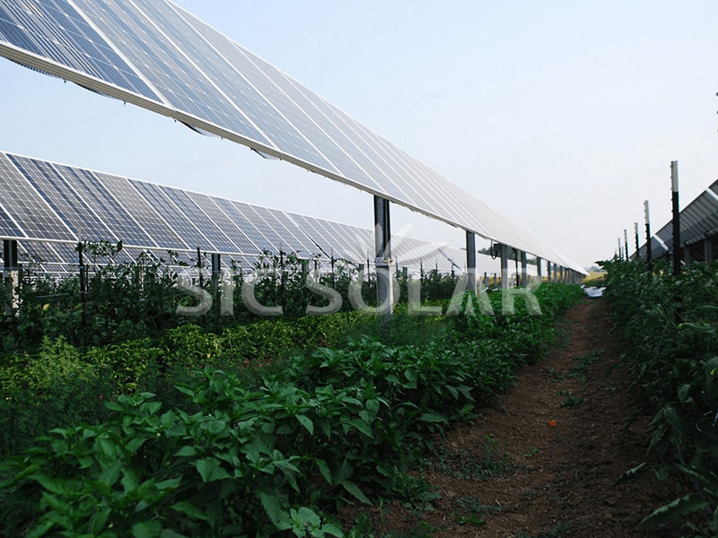 Sistema de montagem solar agrícola de 300 kW para terras agrícolas nos EUA
