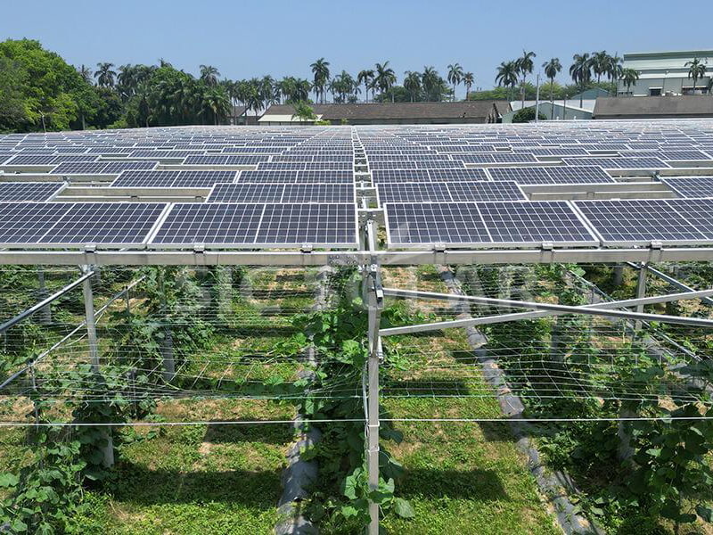 Suporte para painel solar fotovoltaico agrícola de 500 kW nos Estados Unidos